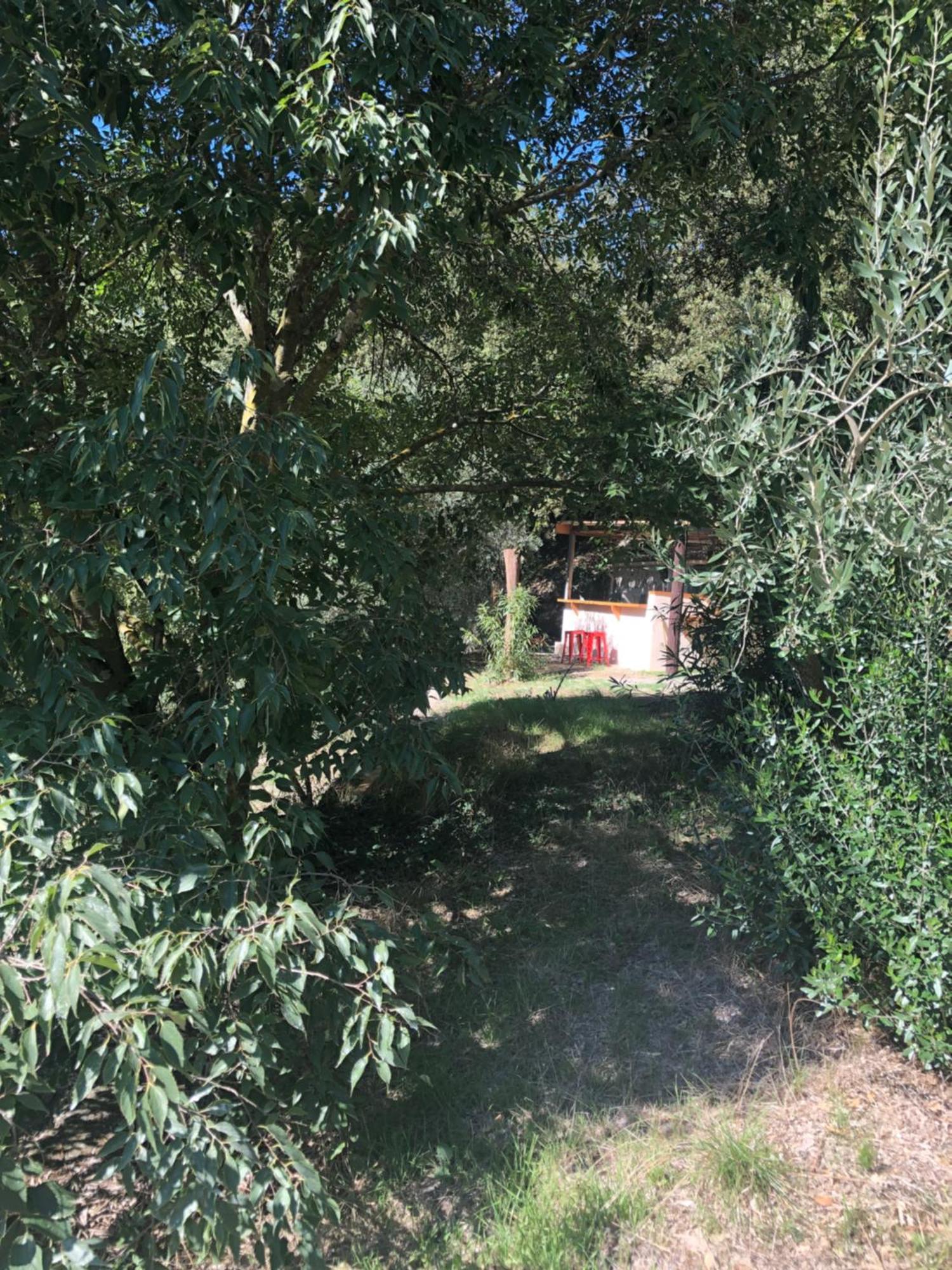 L'Olivier Fleurie Barjols Exterior foto