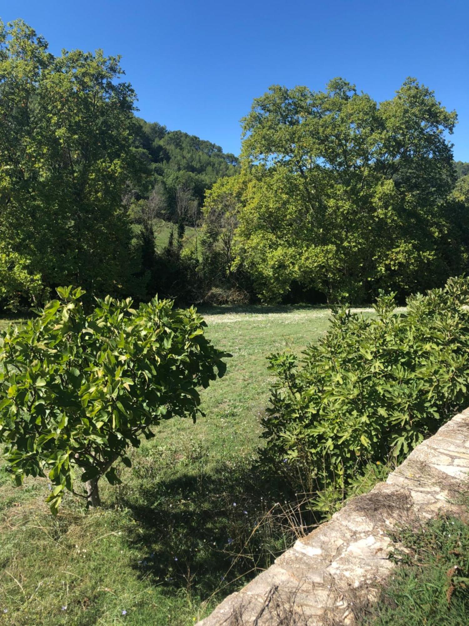 L'Olivier Fleurie Barjols Exterior foto